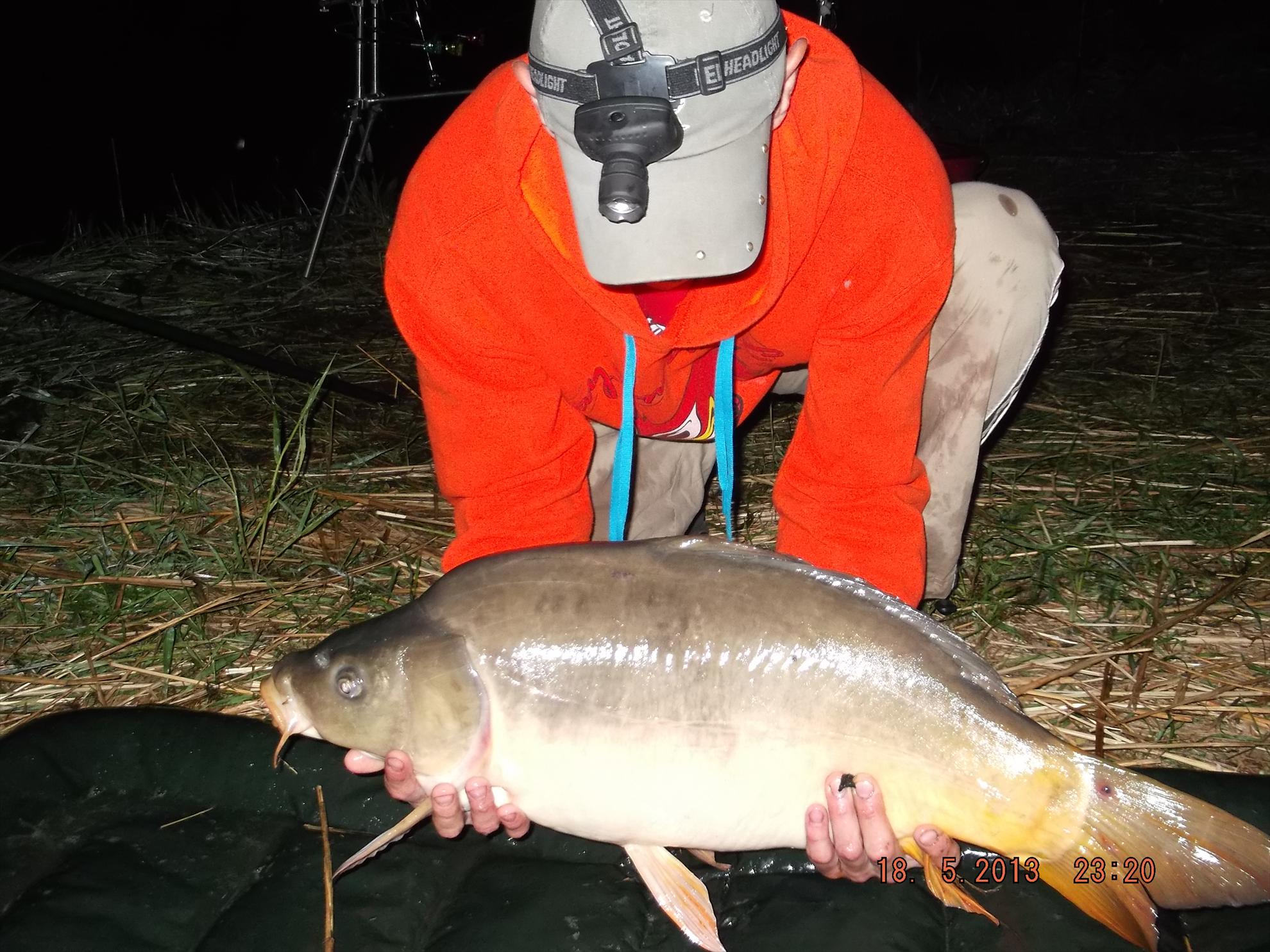 noaptea partea a ll - dscf0569.JPG